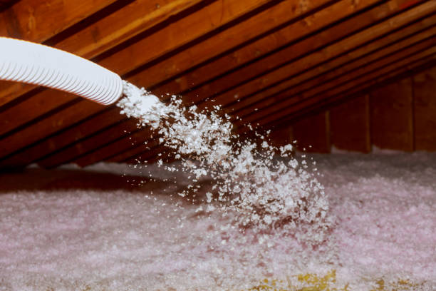 Best Insulation Contractor Near Me  in South Floral Park, NY