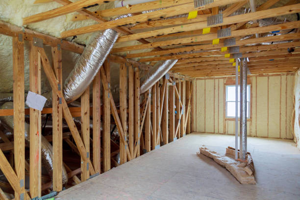 Best Insulation Removal  in South Floral Park, NY