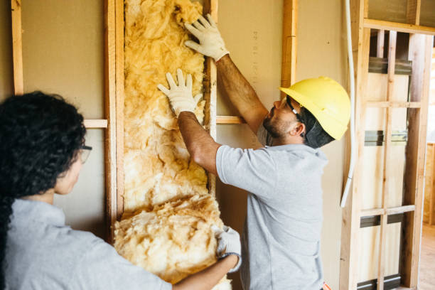 Best Wall Insulation Contractor  in South Floral Park, NY