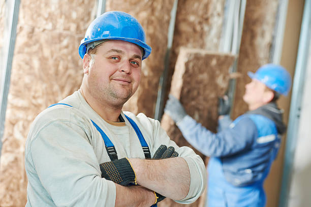 Best Cellulose Insulation  in South Floral Park, NY